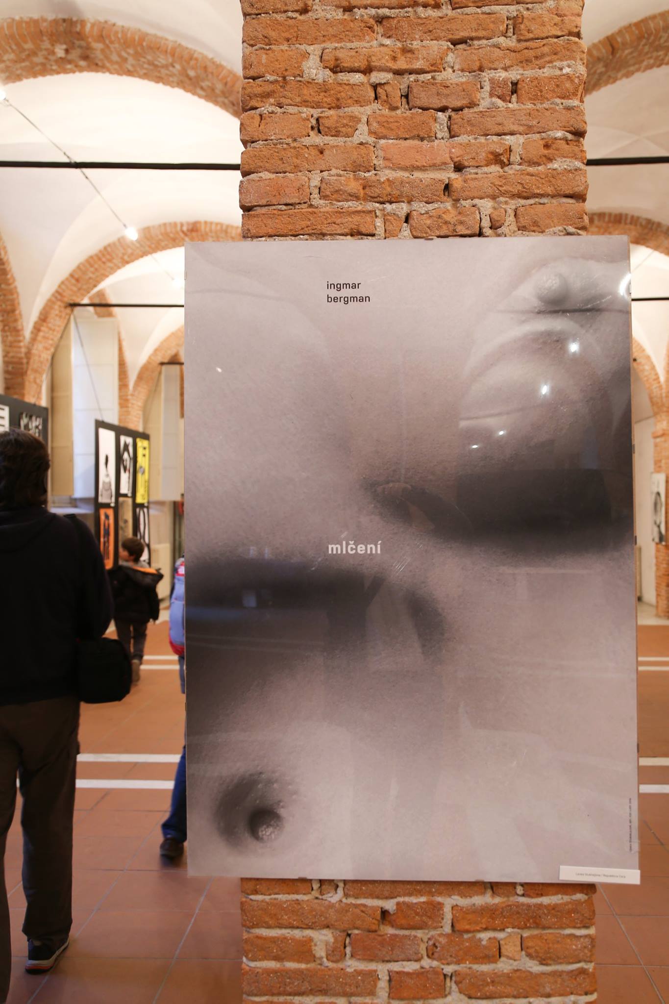 Italian Poster Biennial2015-SinaGraphic- (13).jpg